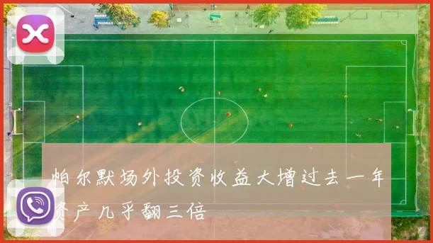 帕尔默场外投资收益大增过去一年资产几乎翻三倍